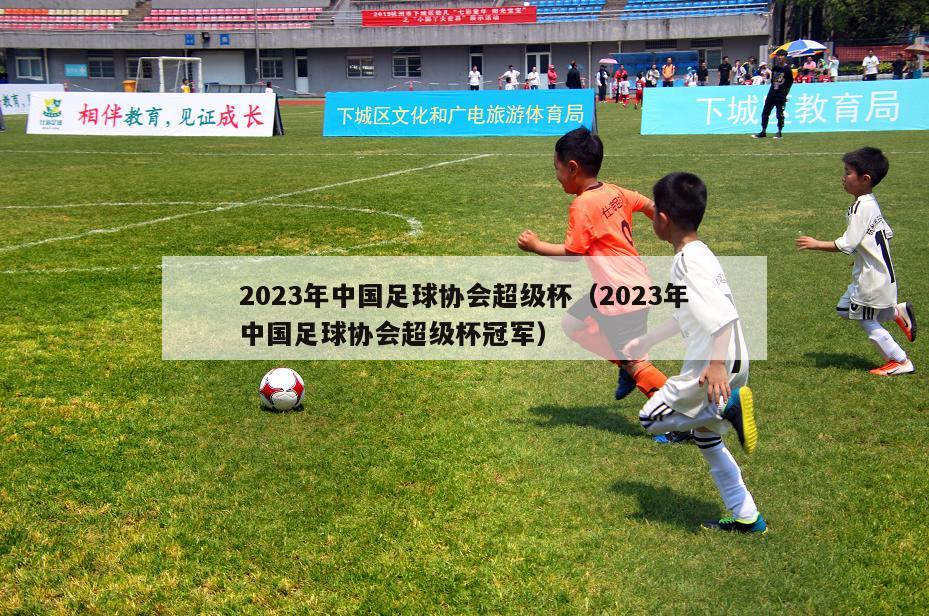 2023年中国足球协会超级杯（2023年中国足球协会超级杯冠军）